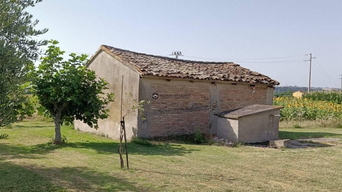 immagine annuncio 3 di 11