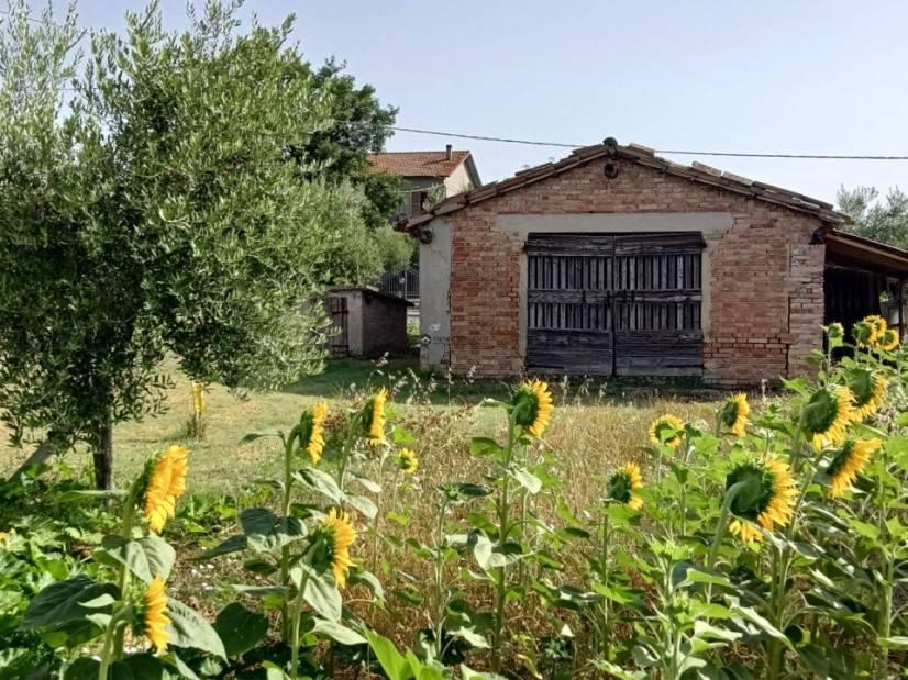 immagine annuncio 7 di 11