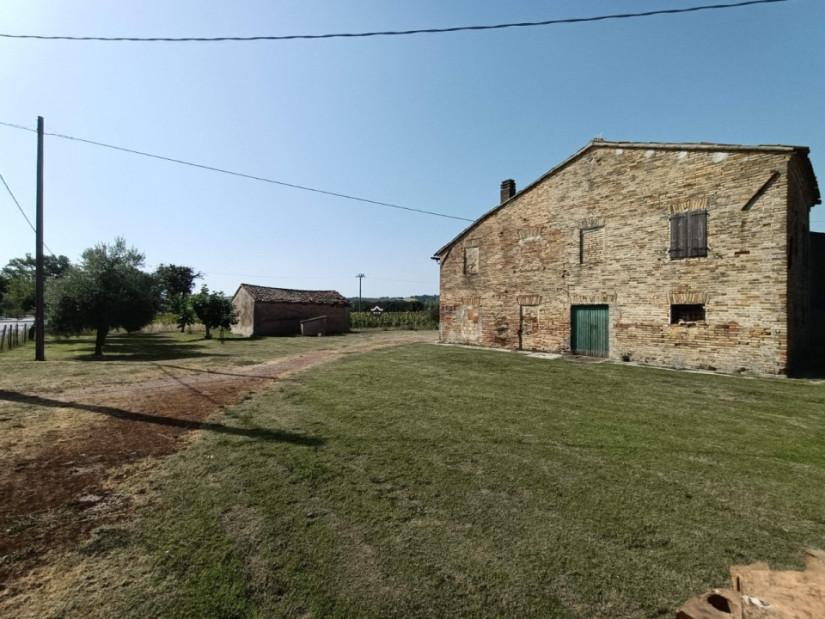 immagine annuncio 1 di 11
