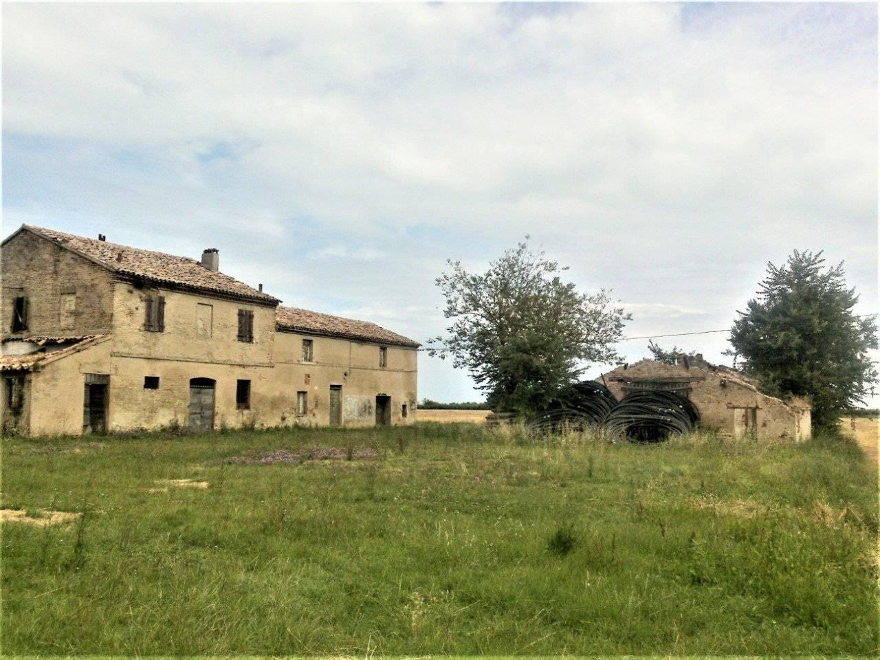 immagine annuncio 4 di 14