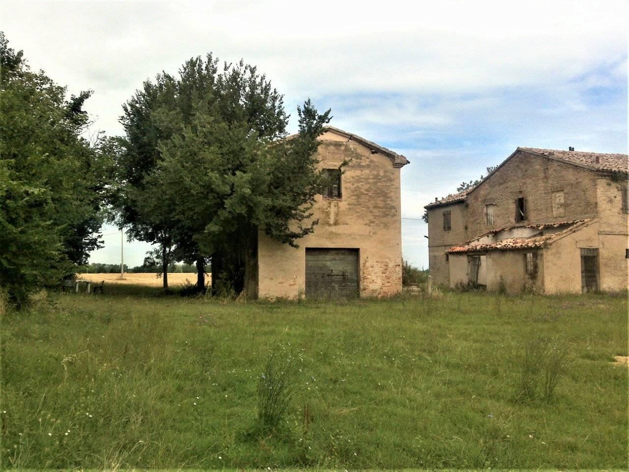 immagine annuncio 5 di 14