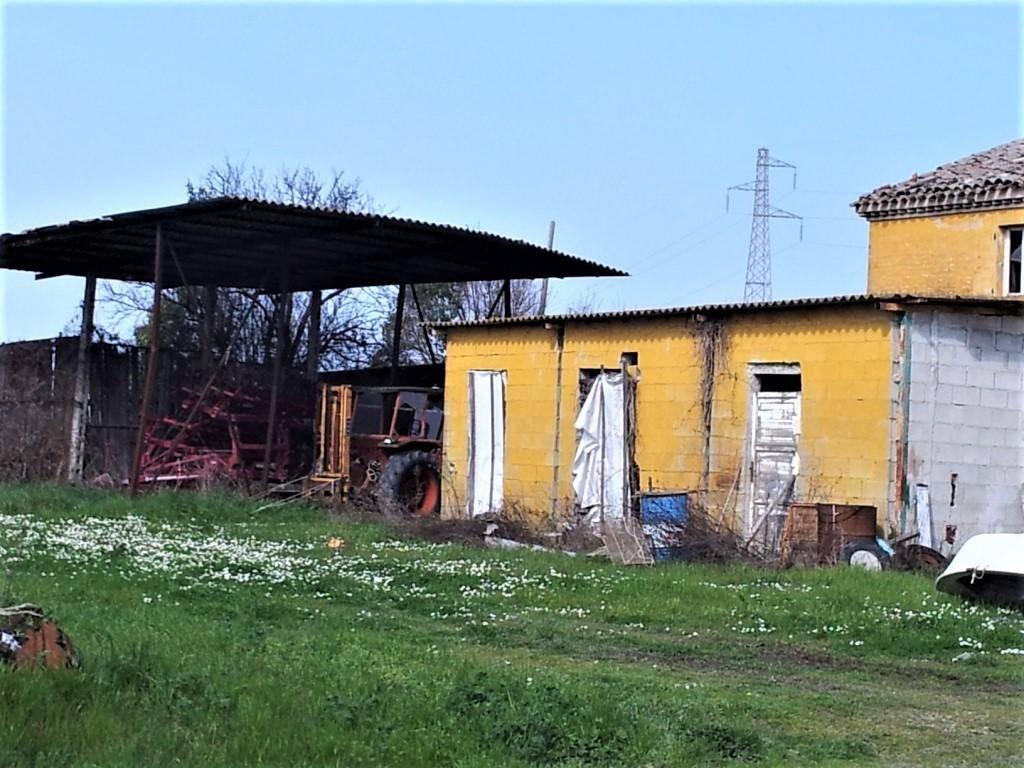 immagine annuncio 2 di 7