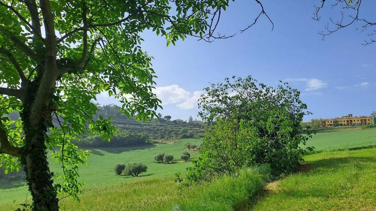 immagine annuncio 8 di 14