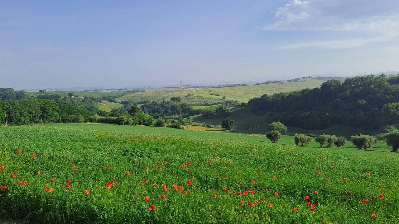 immagine annuncio 12 di 14