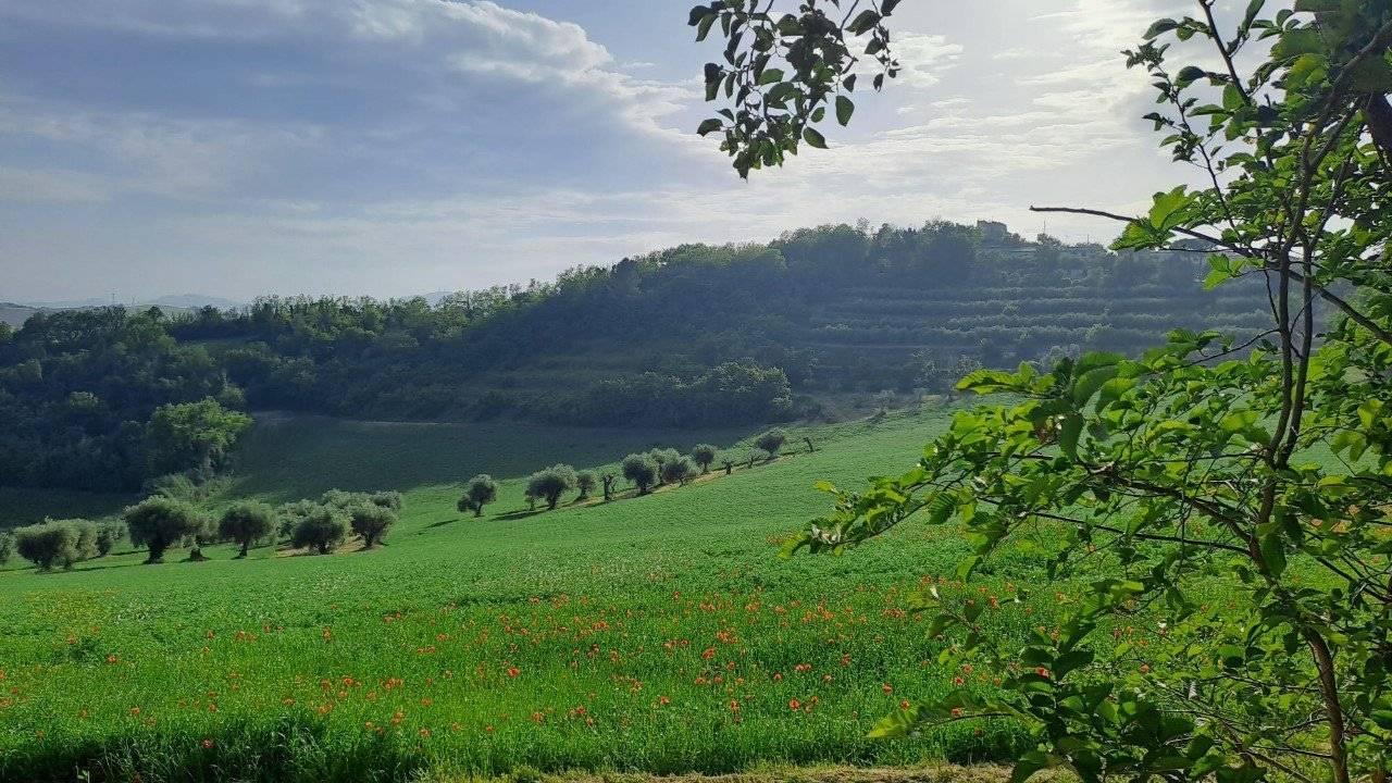 immagine annuncio 13 di 14