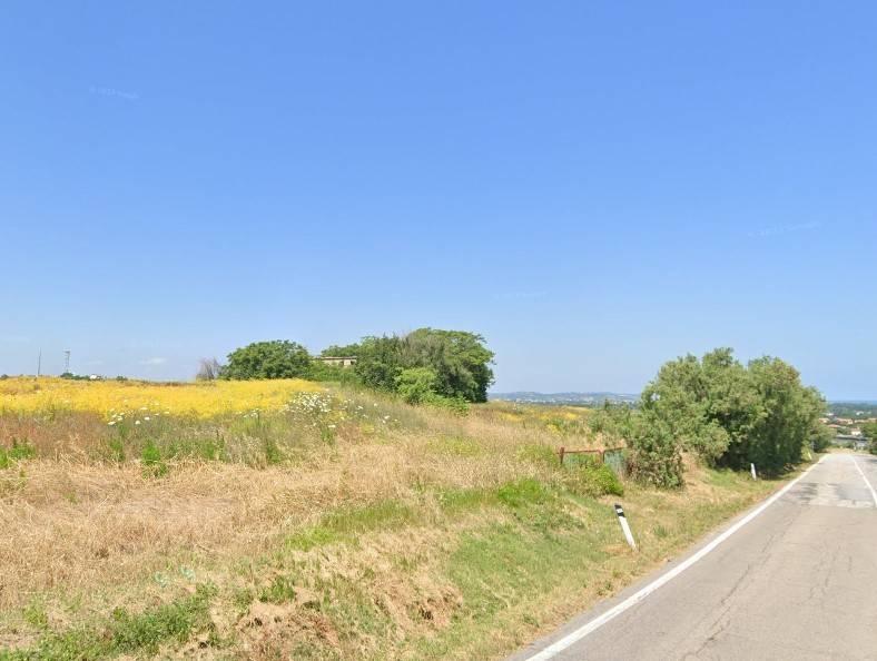 immagine annuncio 2 di 6