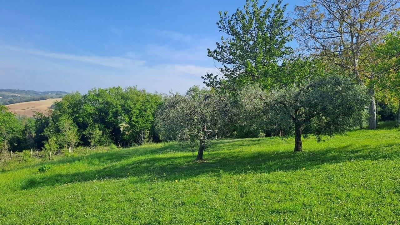 immagine annuncio 7 di 13