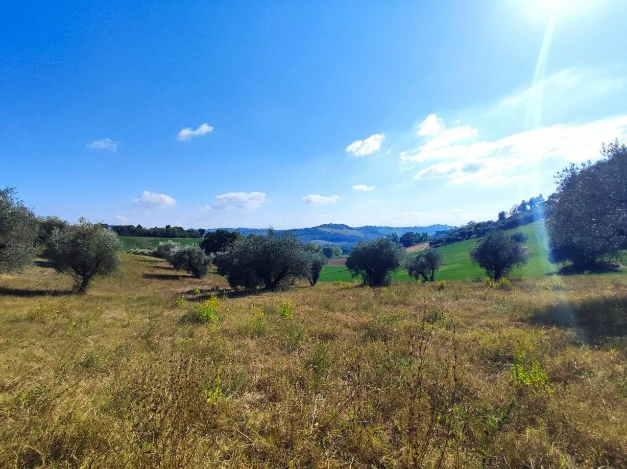 immagine annuncio 10 di 14
