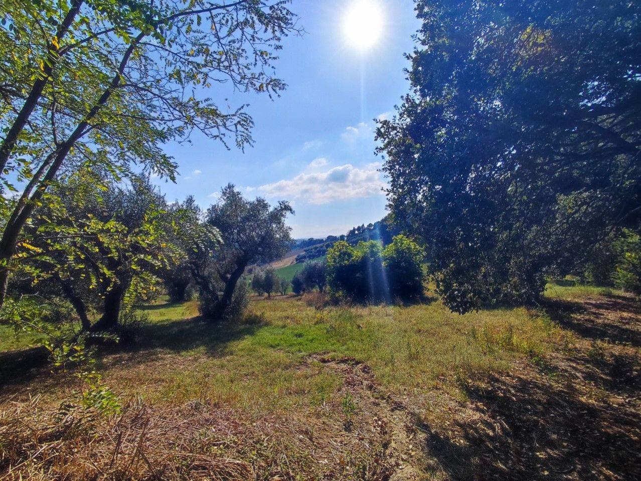 immagine annuncio 1 di 14