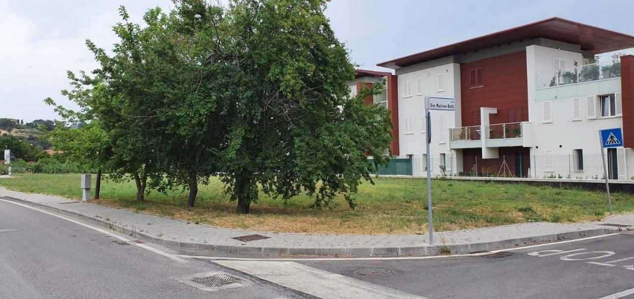 immagine annuncio 3 di 6