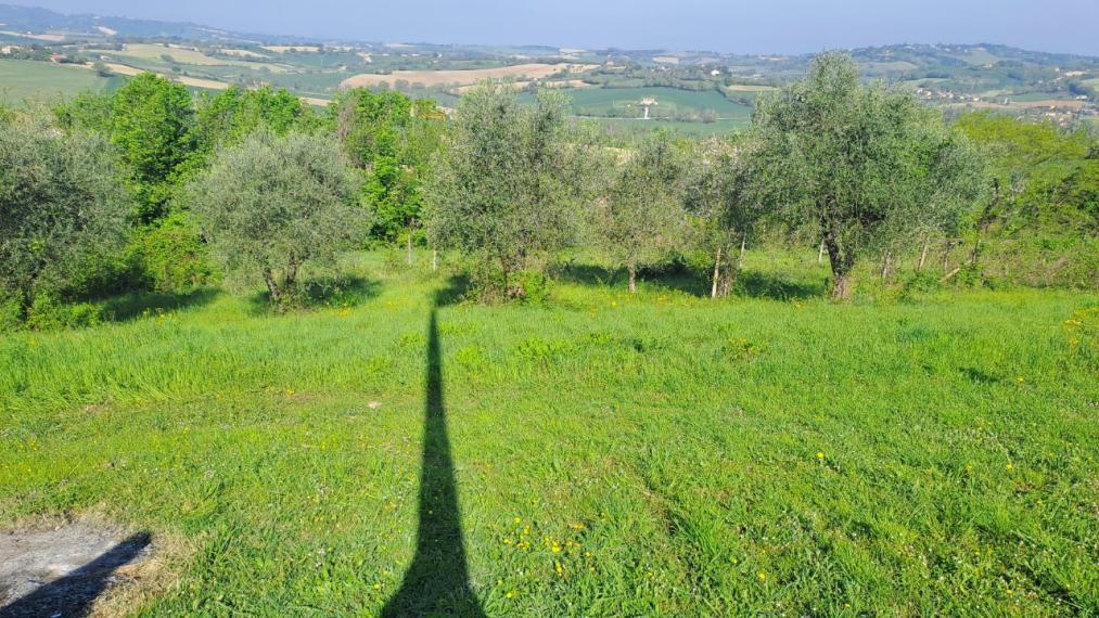 immagine annuncio 5 di 14
