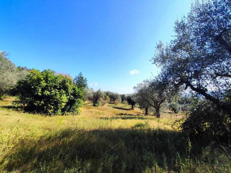 immagine annuncio 12 di 14