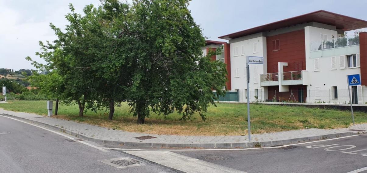 immagine annuncio 3 di 7