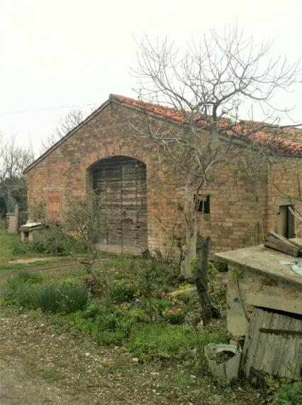 immagine annuncio 2 di 4