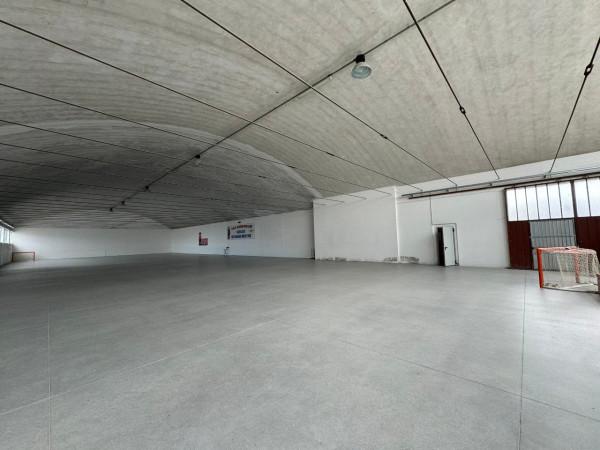 Capannone in , Pesaro, {3} - Foto 2