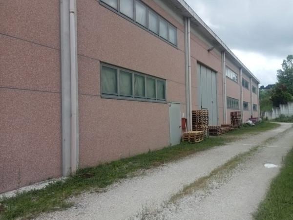 Capannone in , Mombaroccio, {3} - Foto 2