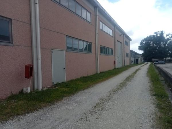 Capannone in , Mombaroccio, {3} - Foto 1