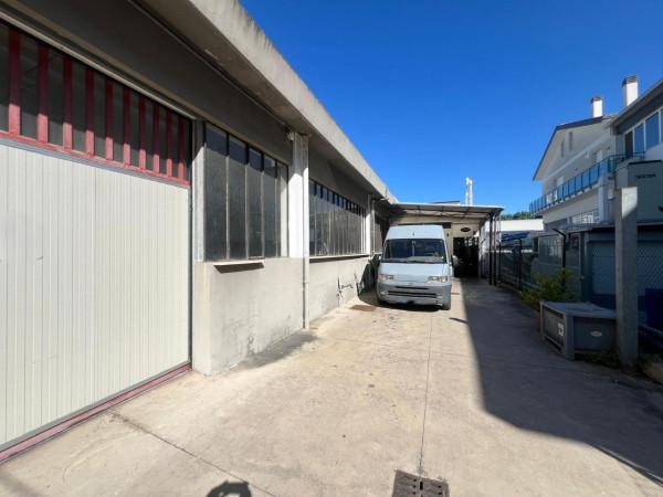 Capannone in , Pesaro, {3} - Foto 1