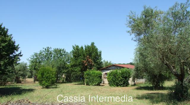 Terreno agricolo in Via Pianella, Castel Sant'Elia - Foto 1