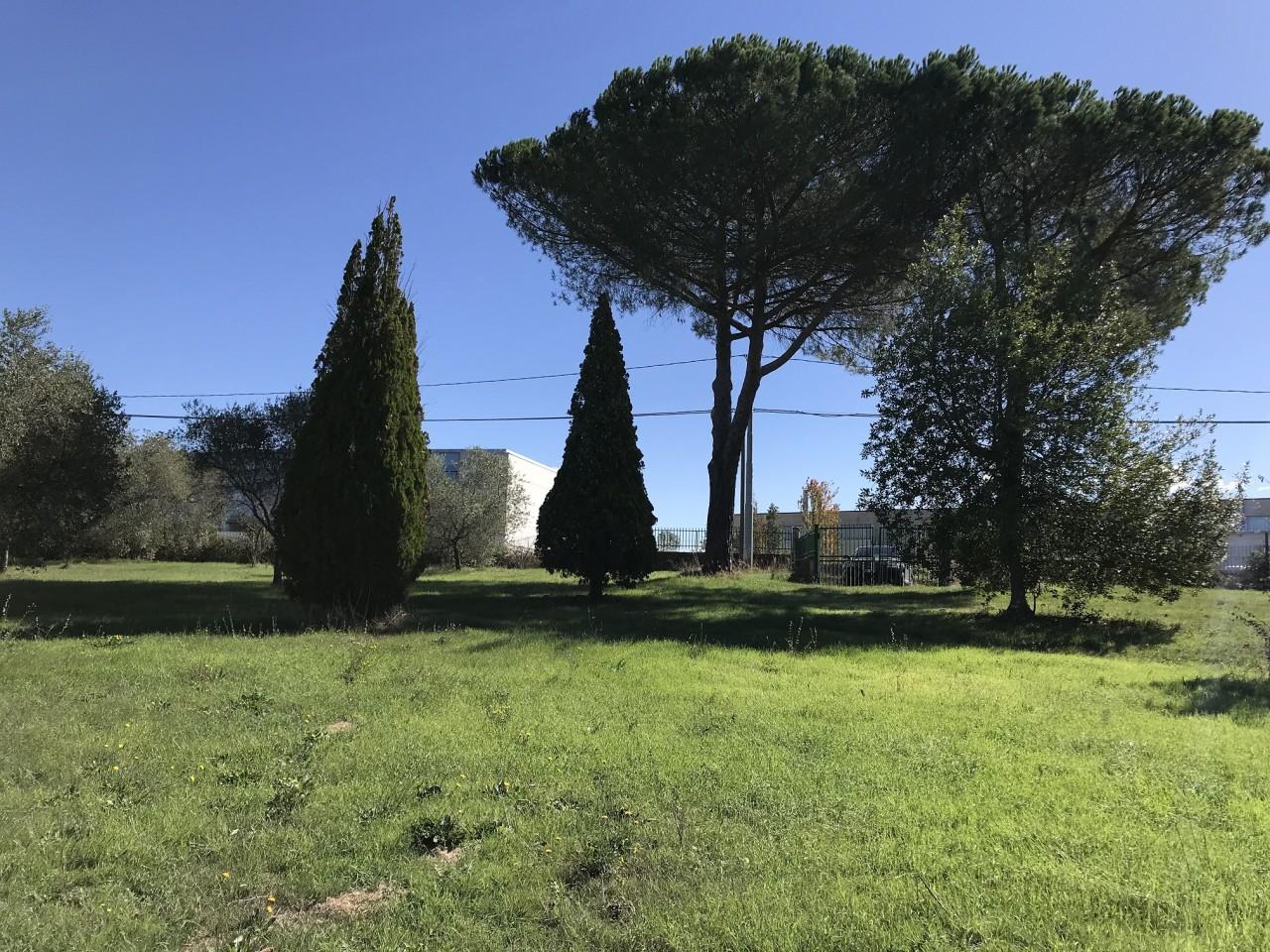 Terreno agricolo in vendita a Castel Sant'Elia