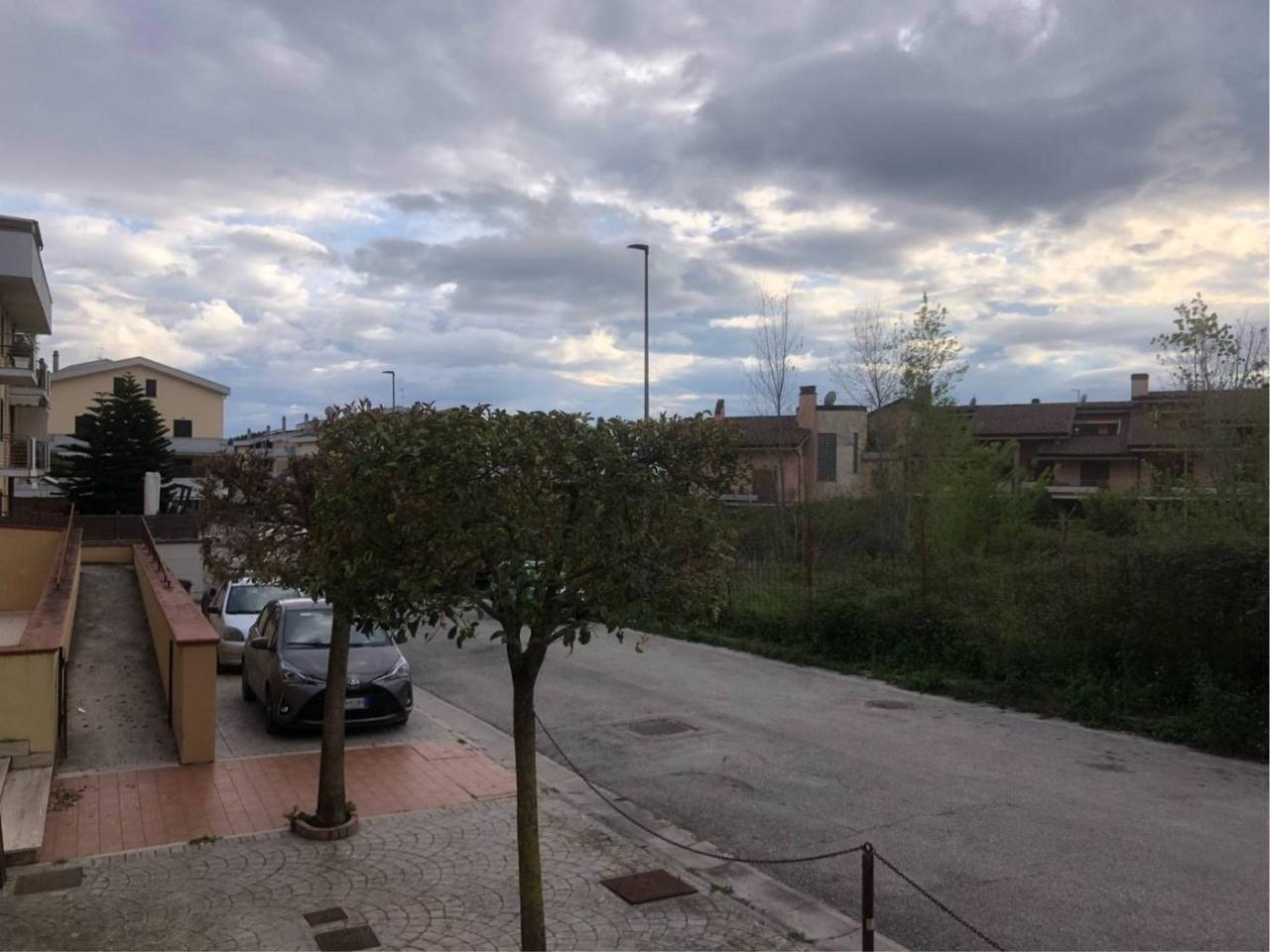 immagine annuncio 3 di 6