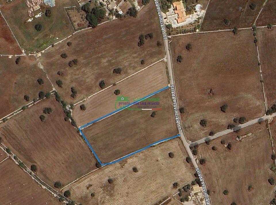 immagine annuncio 3 di 7