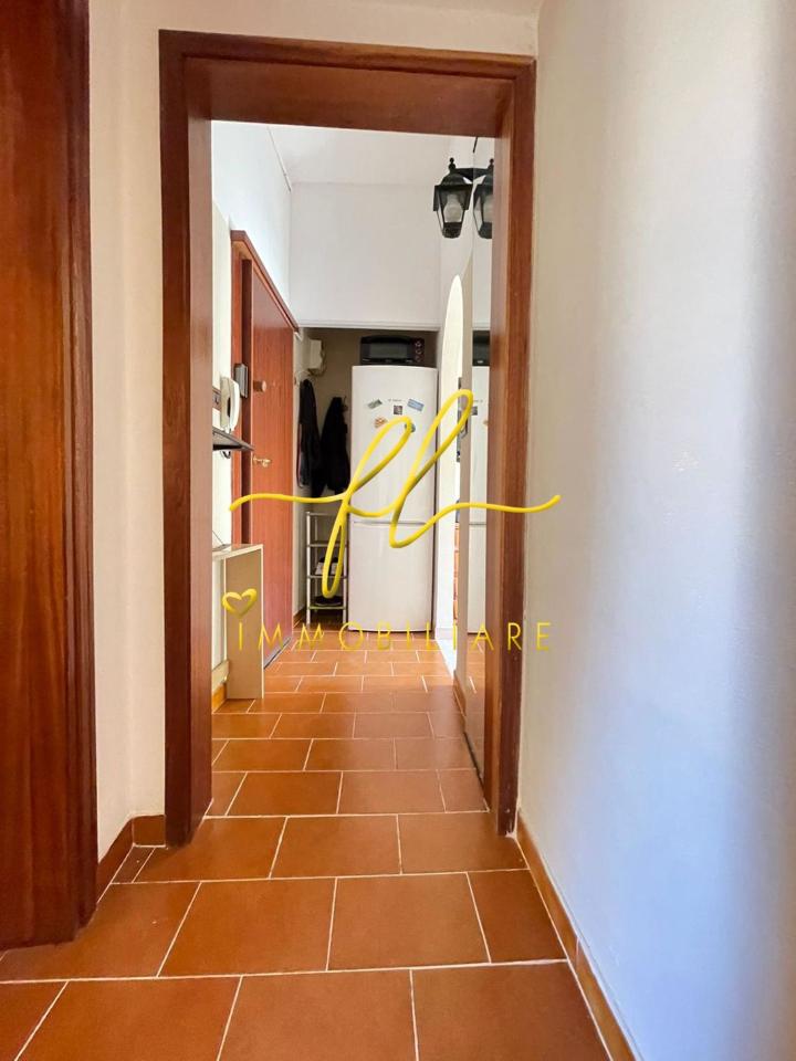 immagine annuncio 7 di 14