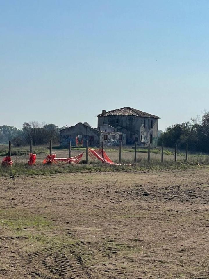 immagine annuncio 3 di 7