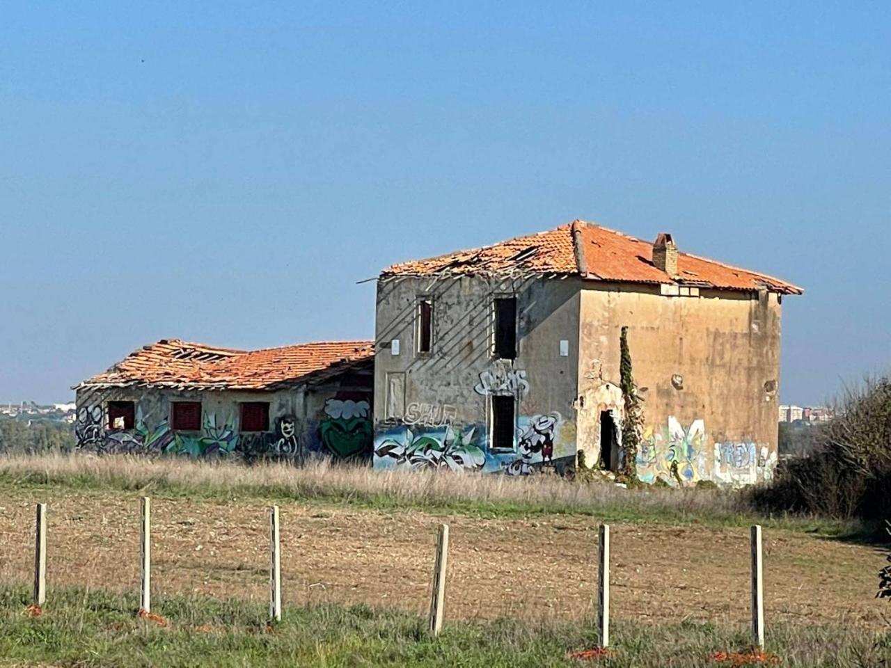immagine annuncio 6 di 7
