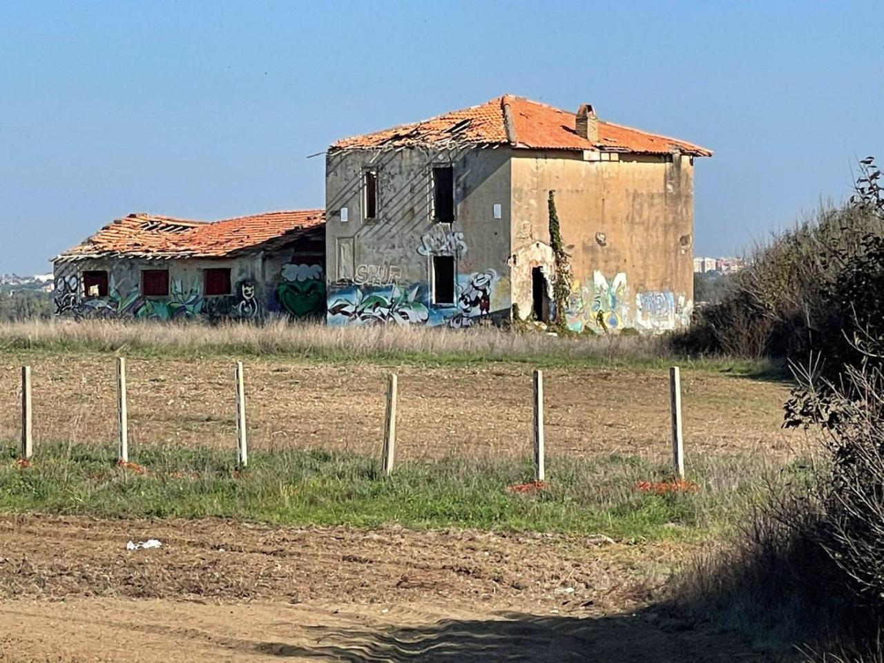 immagine annuncio 5 di 7