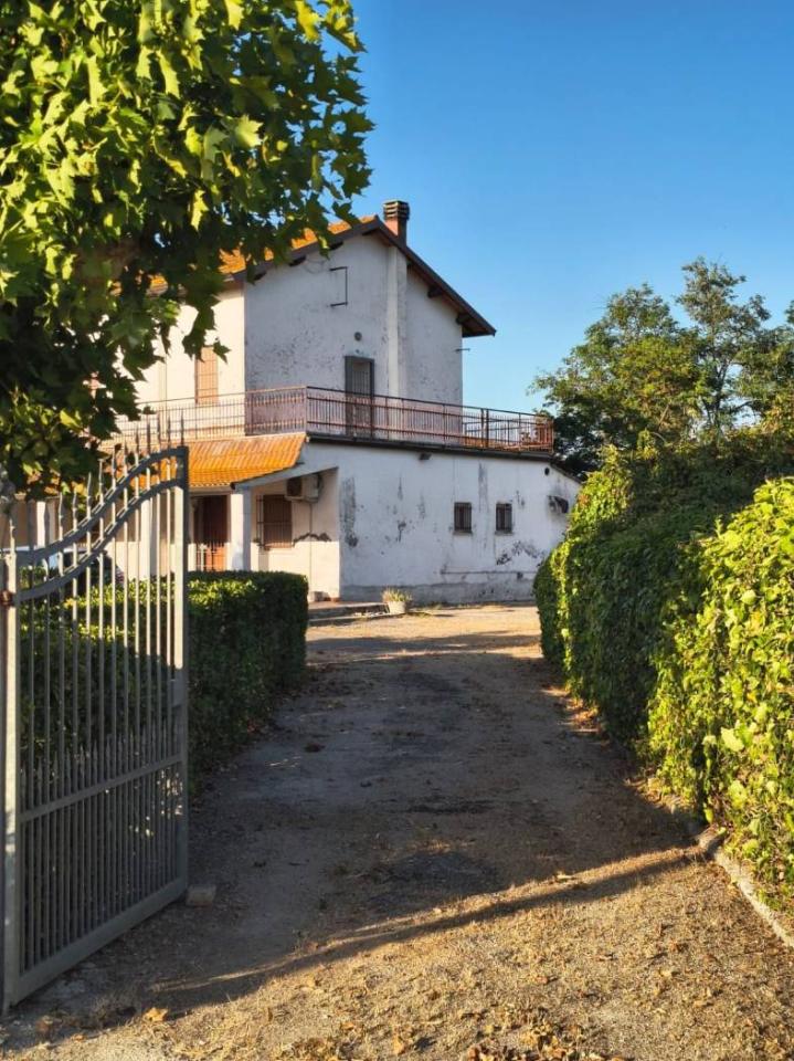 immagine annuncio 1 di 11