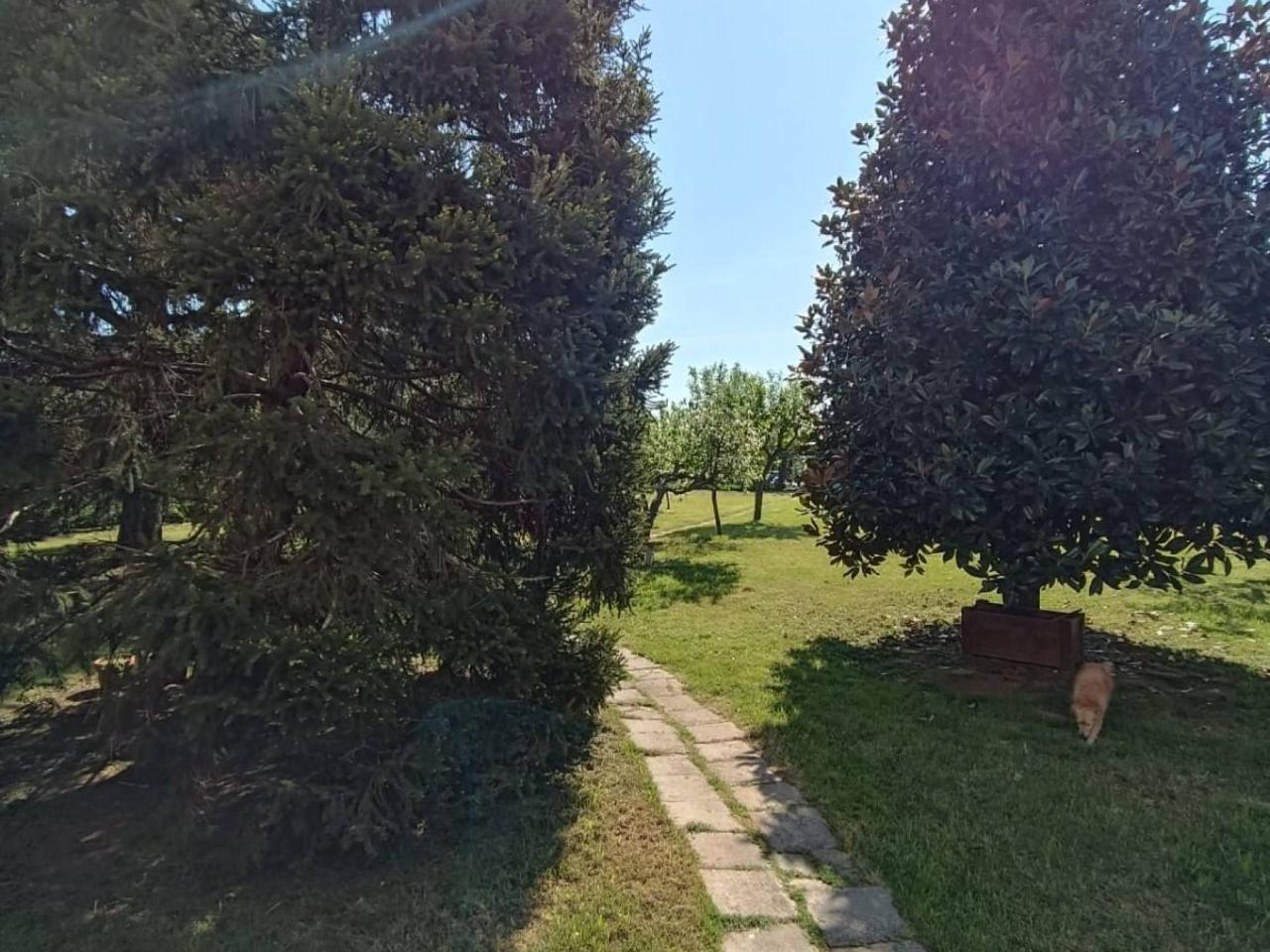 immagine annuncio 6 di 15