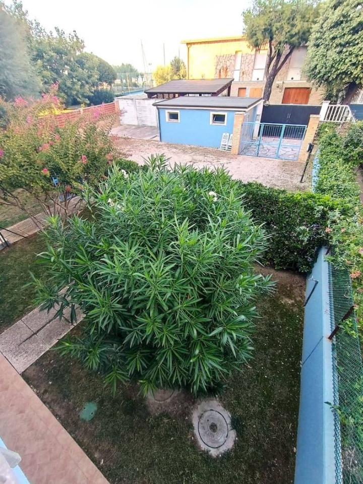 immagine annuncio 2 di 14