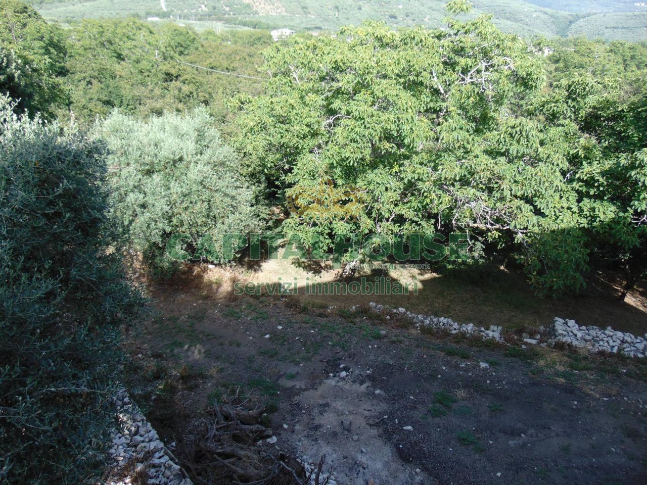 Terreno agricolo in vendita a Avella