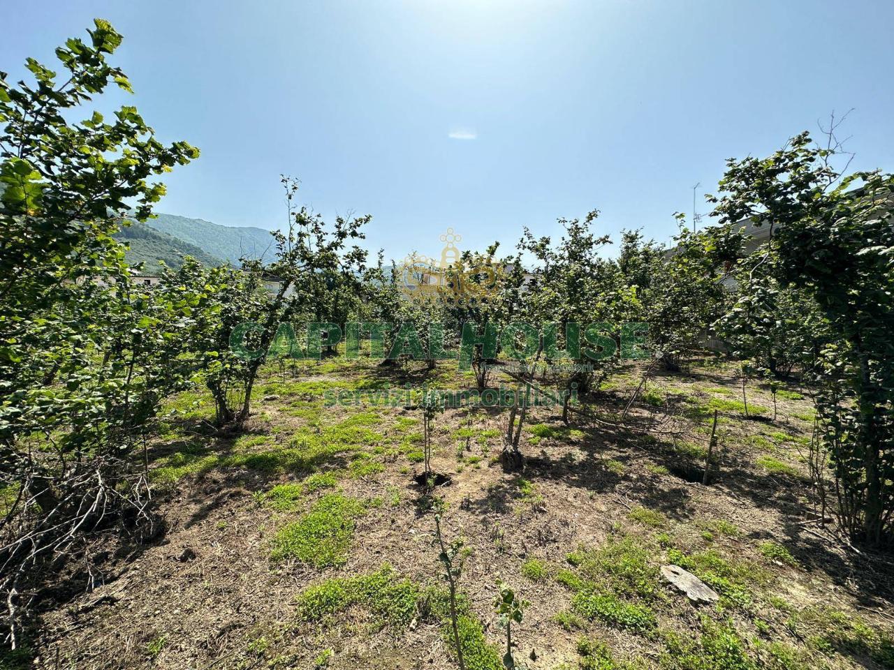 Terreno agricolo in vendita a Sirignano