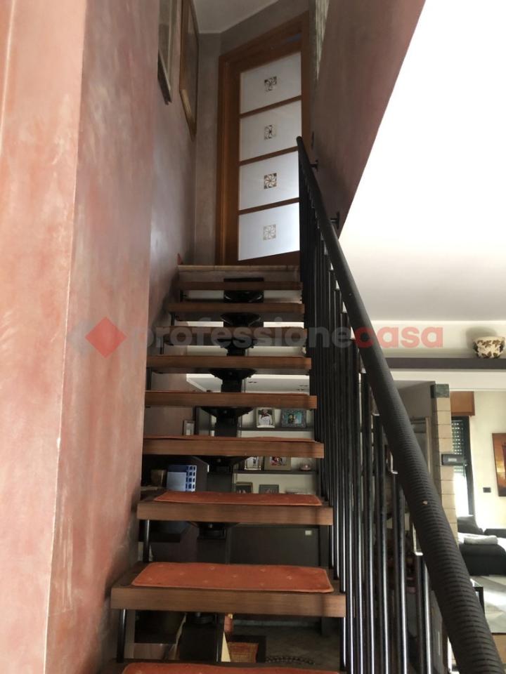 immagine annuncio 1 di 12