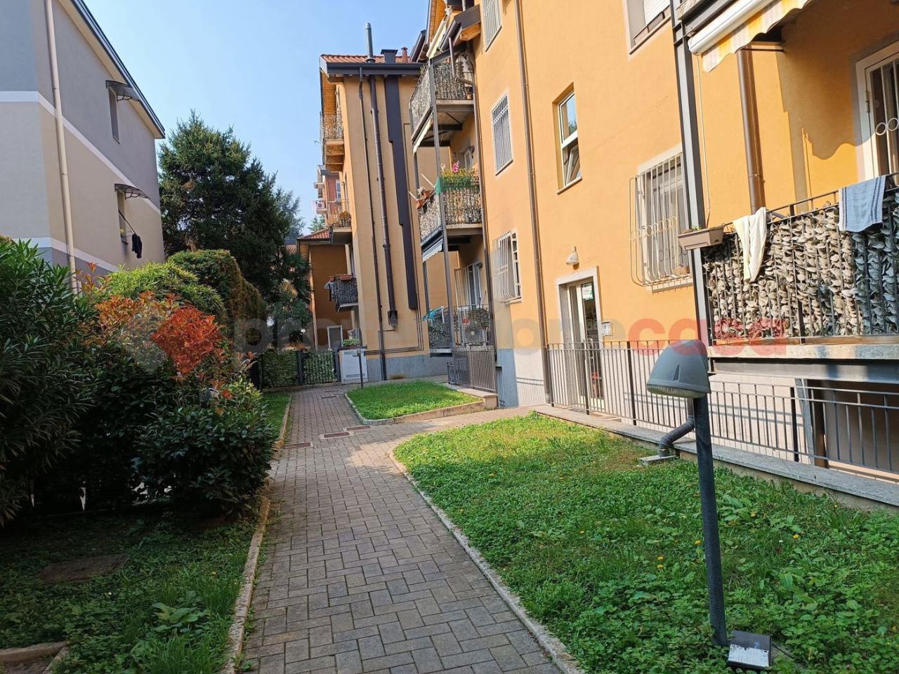 immagine annuncio 12 di 13