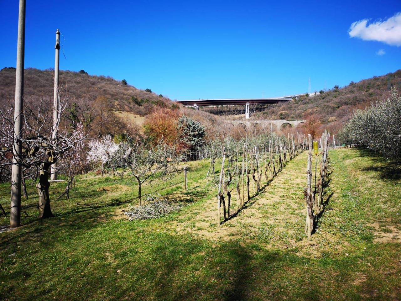 Terreno agricolo in vendita a San Dorligo Della Valle