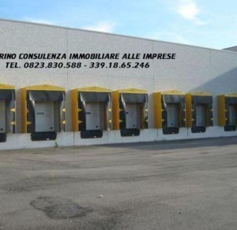 Capannone in , Marcianise, {3} - Foto 1