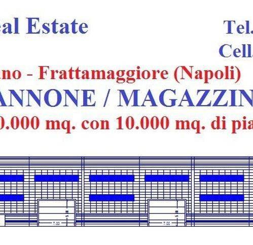 Capannone in , Arzano, {3} - Foto 1