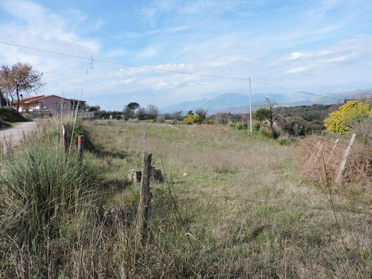 Terreno agricolo in vendita a Sessa Aurunca