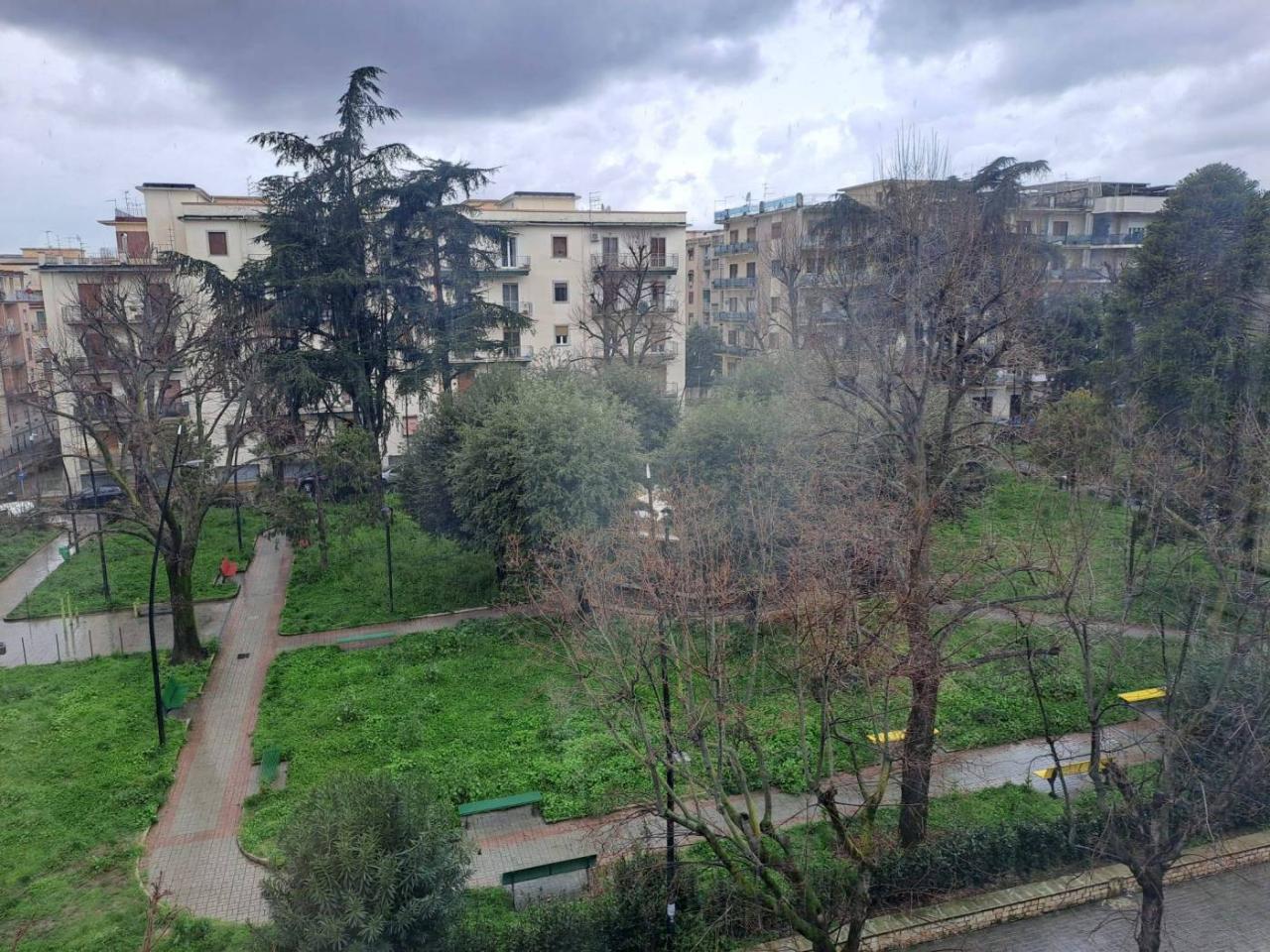 immagine annuncio 9 di 12