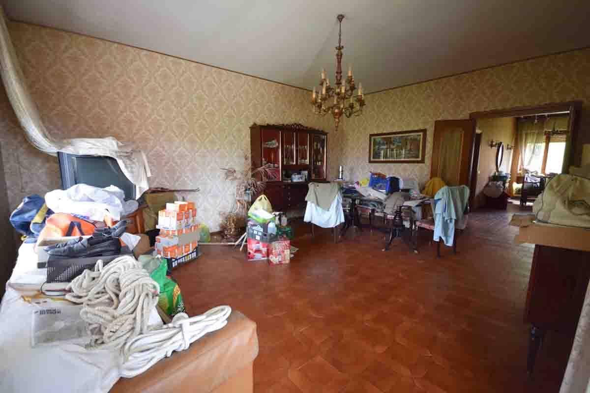 immagine annuncio 4 di 14