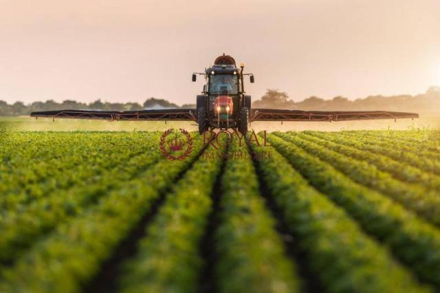 Terreno agricolo in Via della Valle Benedetta, Livorno - Foto 1