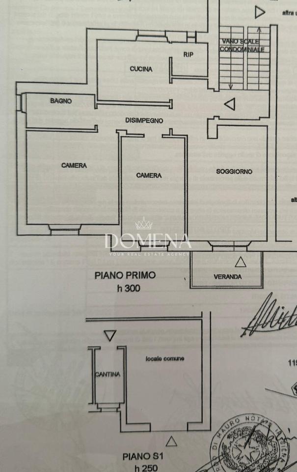 immagine annuncio 14 di 15