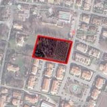 insertion image