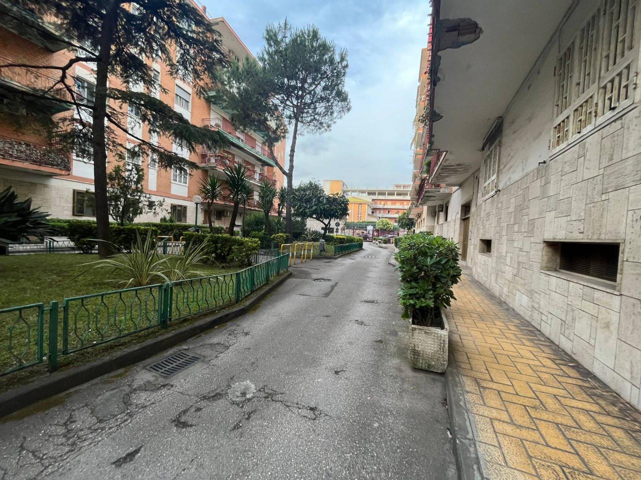 immagine annuncio 2 di 14