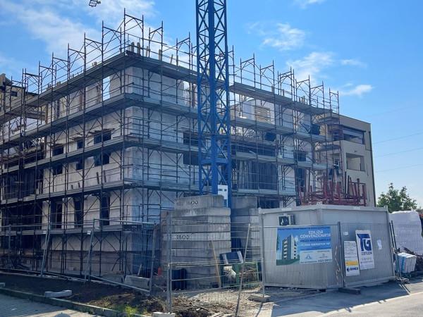 immagine annuncio 5 di 14