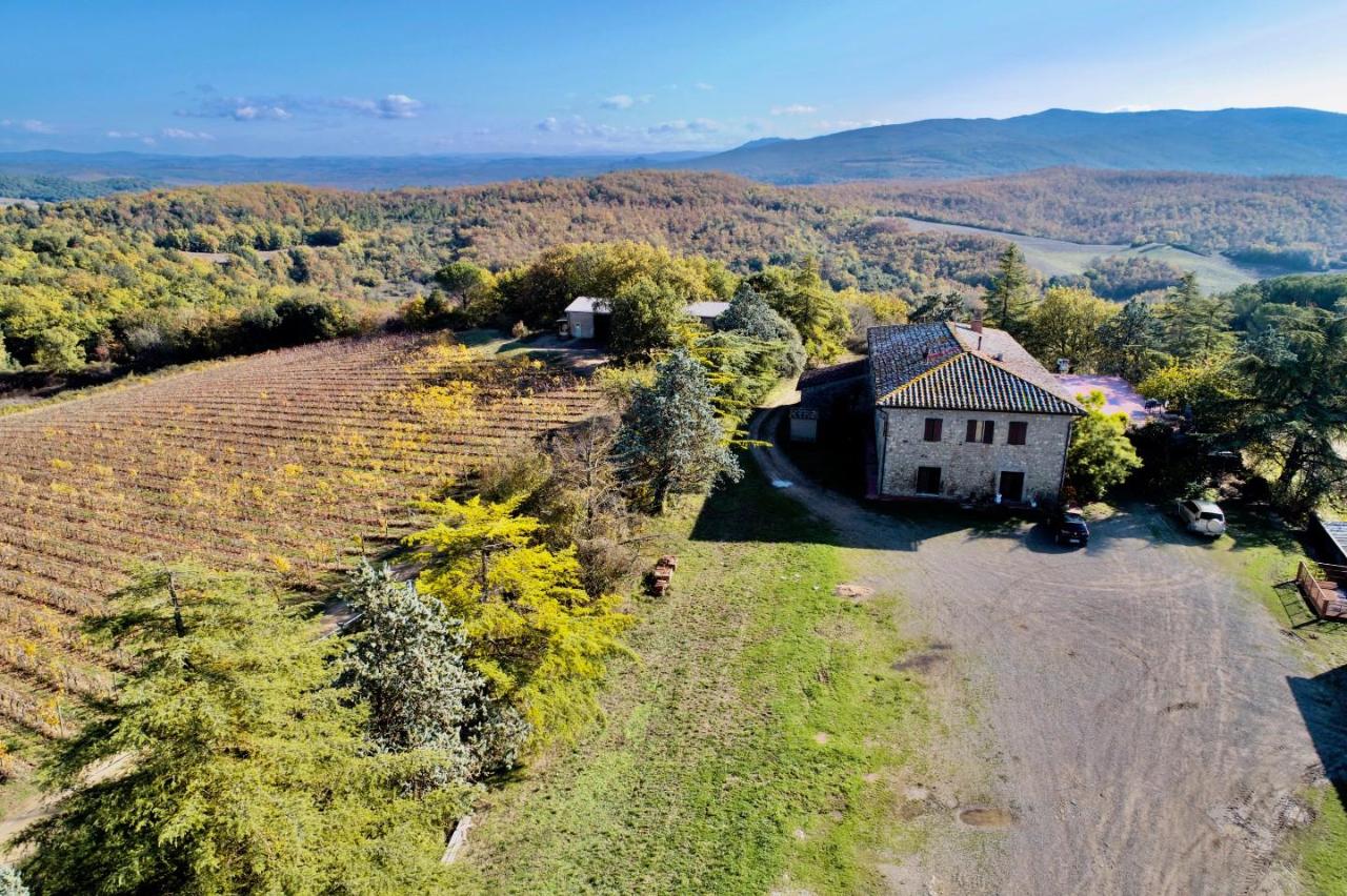 Azienda agricola in , Murlo, {3} - Foto 1