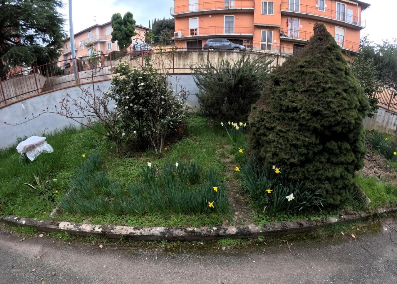 immagine annuncio 11 di 12